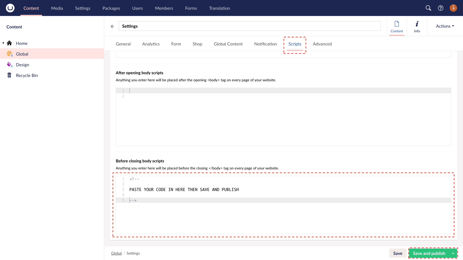 Global script settings with uSkinned for Umbraco.