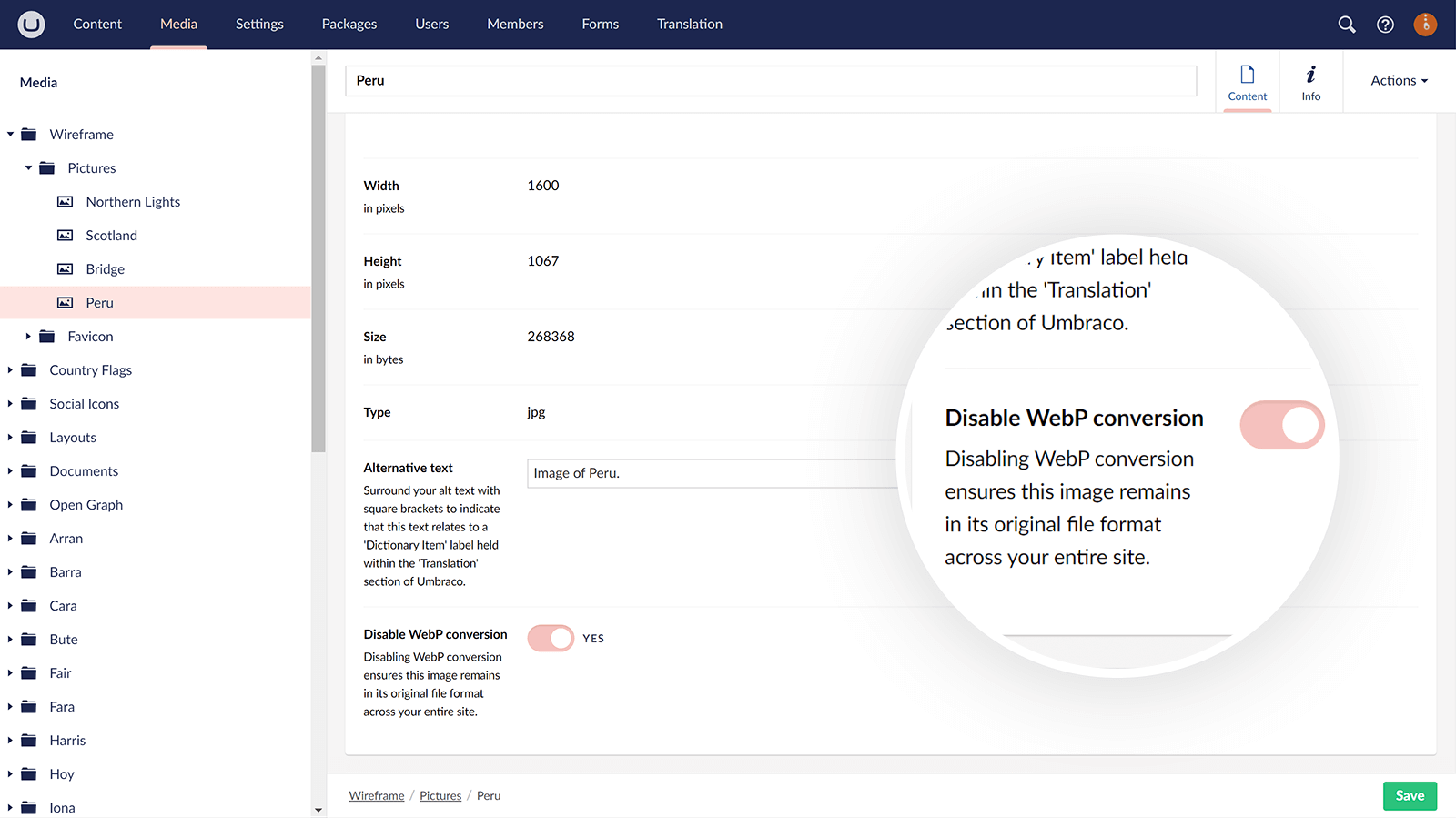 Disable WebP conversion on specific images in uSkinned for Umbraco.
