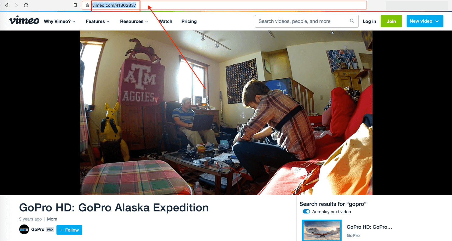 Copy Vimeo URL to display on uSkinned website.